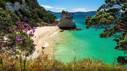 什么是新西兰假日签证?
