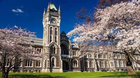 留学新西兰读博有哪些优惠条件，你清楚吗?